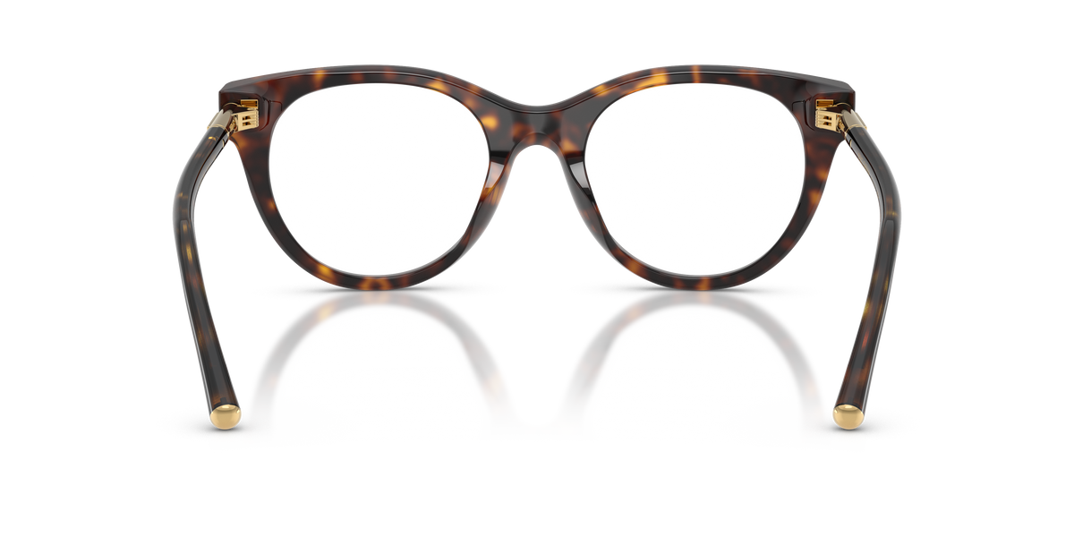 Dolce & Gabbana DG3433 502