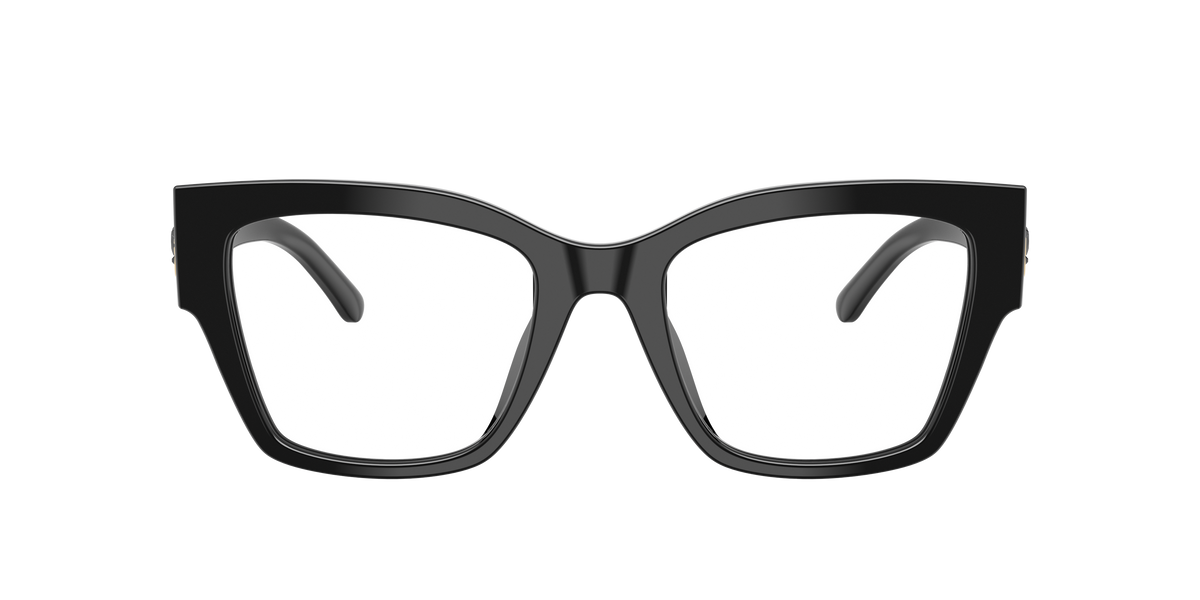 Dolce & Gabbana DG3435B 501