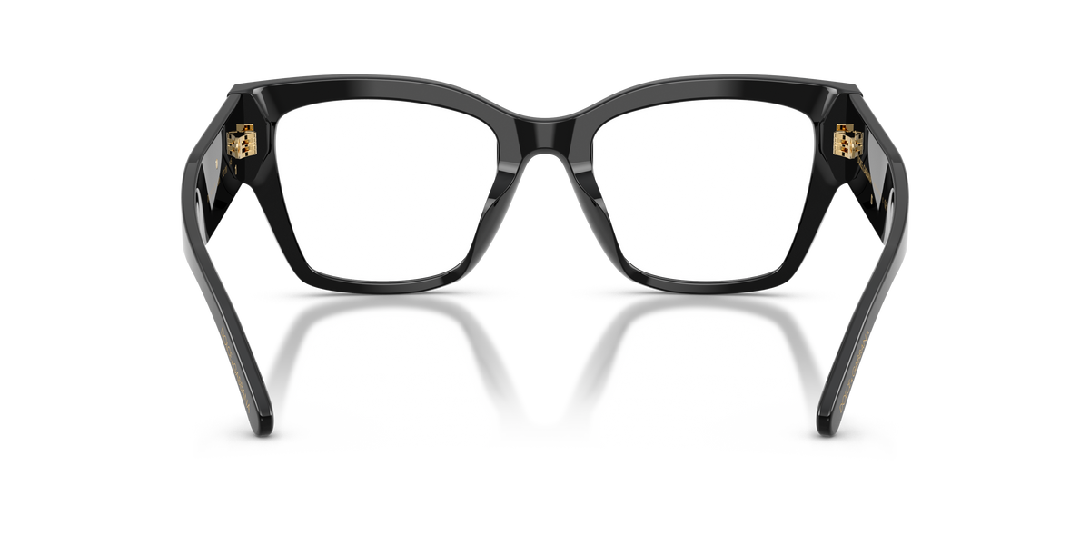 Dolce & Gabbana DG3435B 501