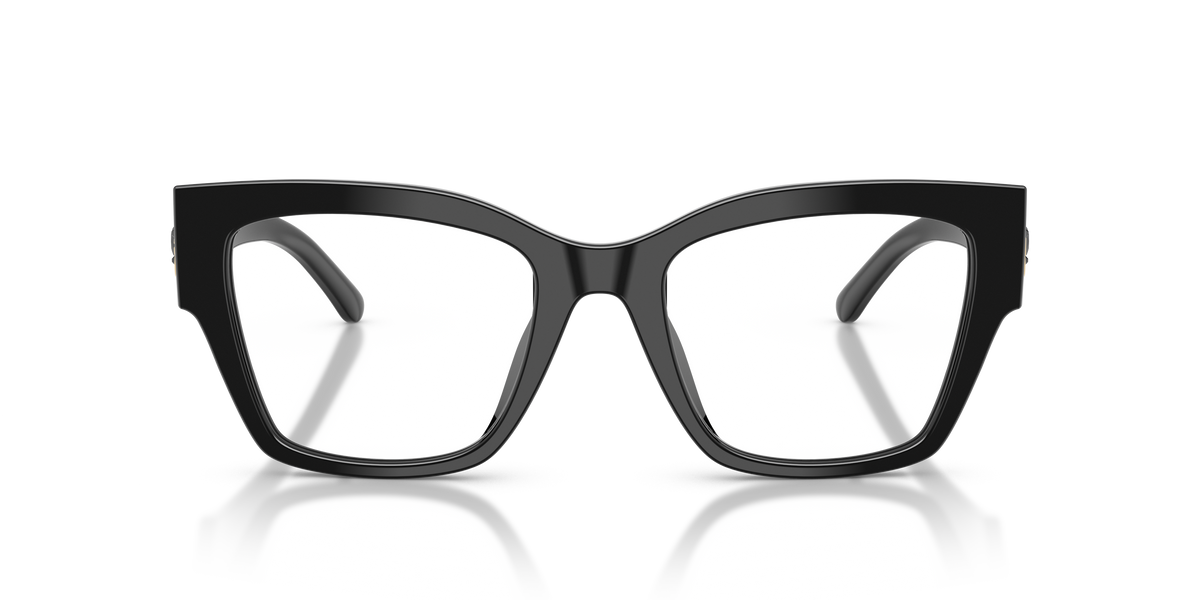 Dolce & Gabbana DG3435B 501