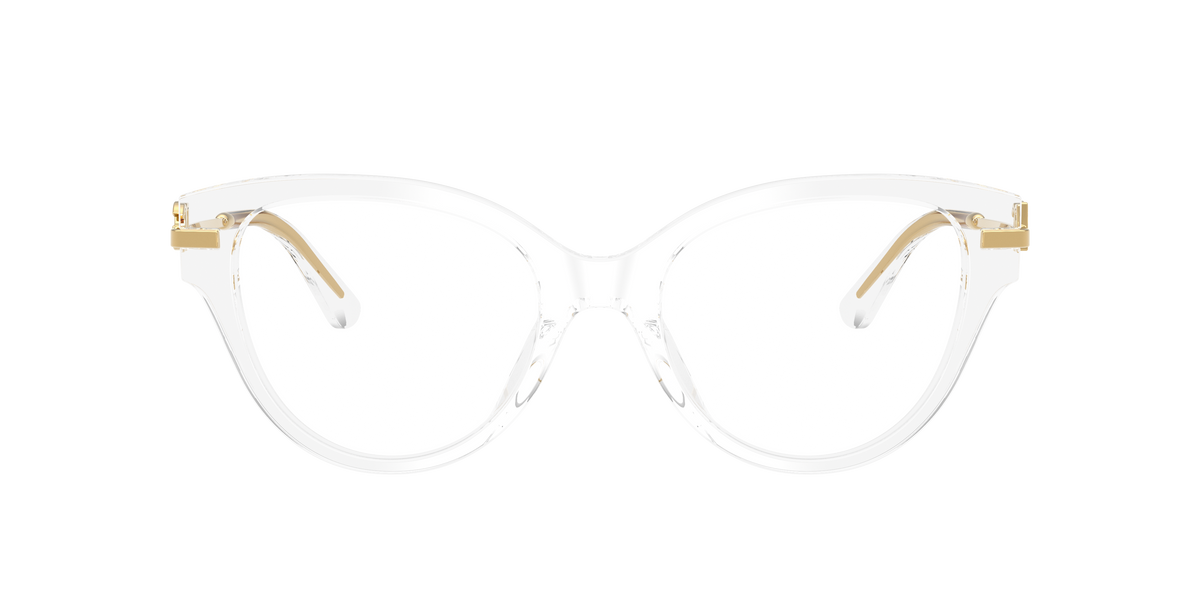 Dolce & Gabbana DG3438 3133