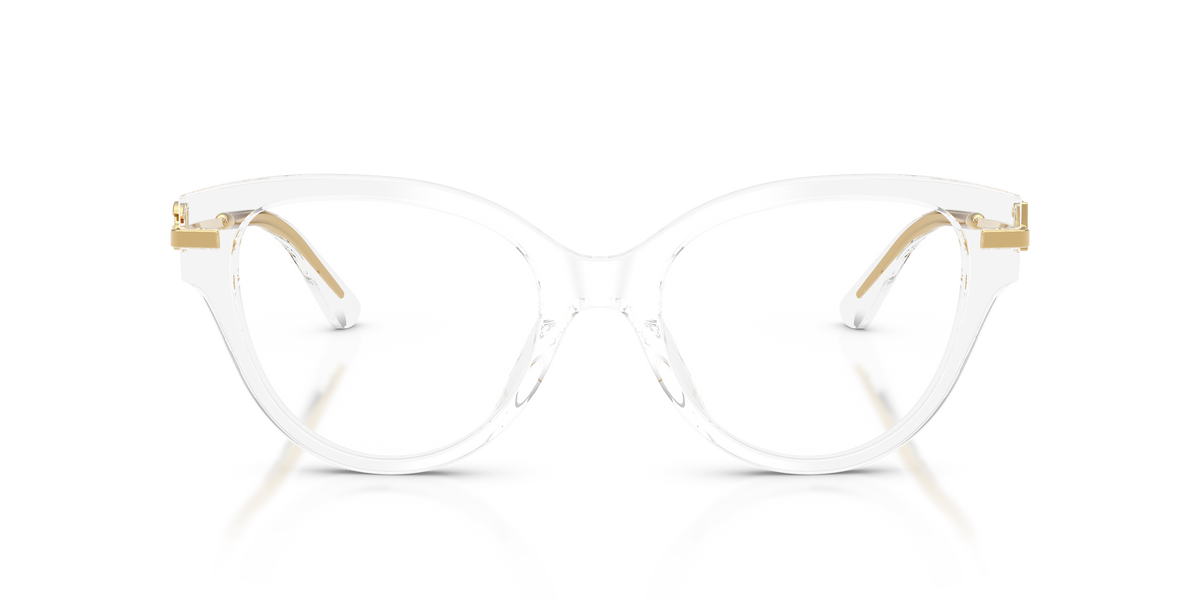 Dolce & Gabbana DG3438 3133