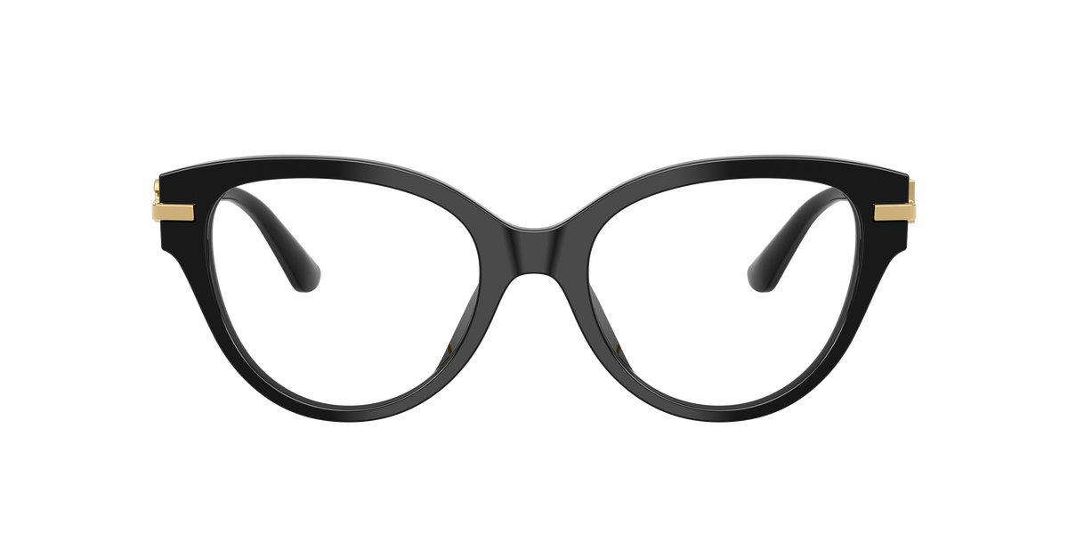 Dolce & Gabbana DG3438 501