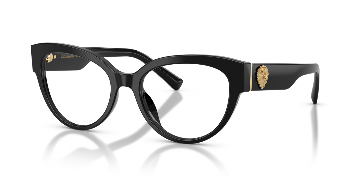 Dolce & Gabbana DG3440 501