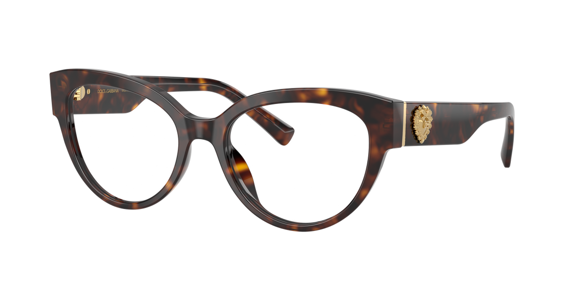 Dolce & Gabbana DG3440 502