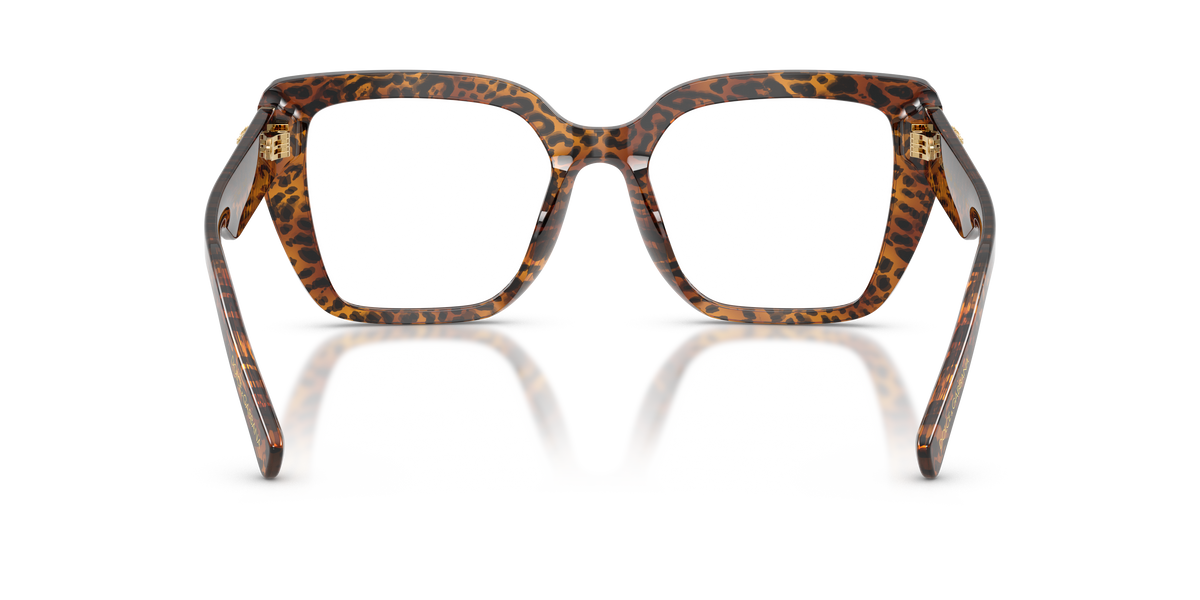 Dolce & Gabbana DG3441 3470