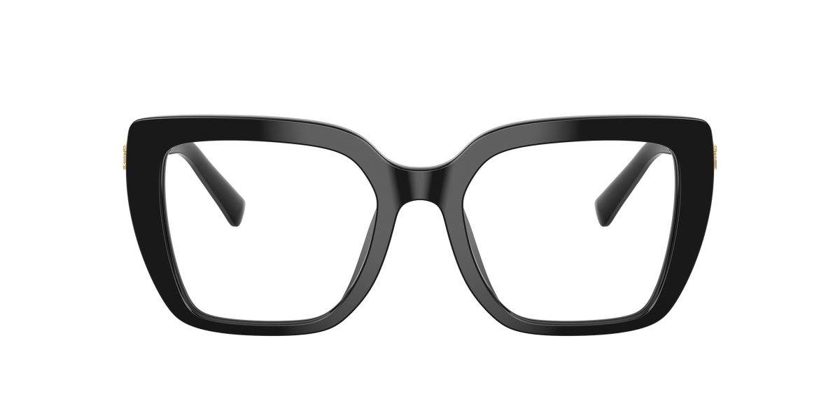 Dolce & Gabbana DG3441 501