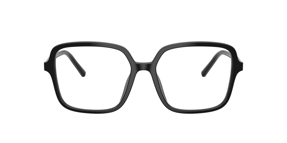 Dolce & Gabbana DG3442 501