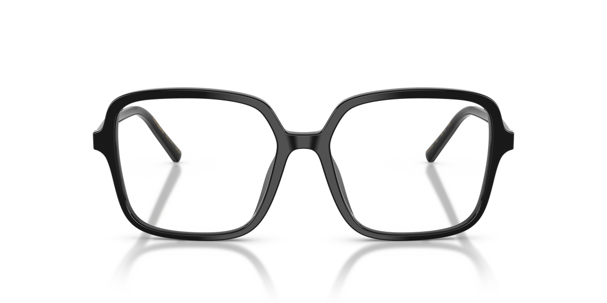 Dolce & Gabbana DG3442 501