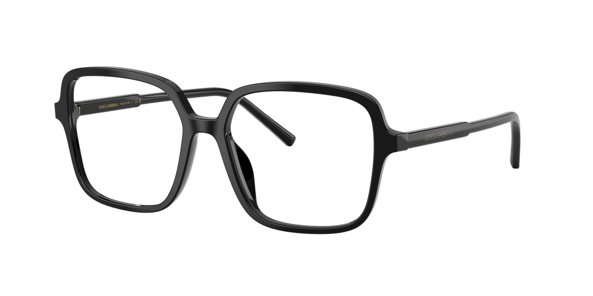 Dolce & Gabbana DG3442 501