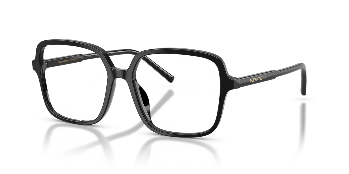Dolce & Gabbana DG3442 501