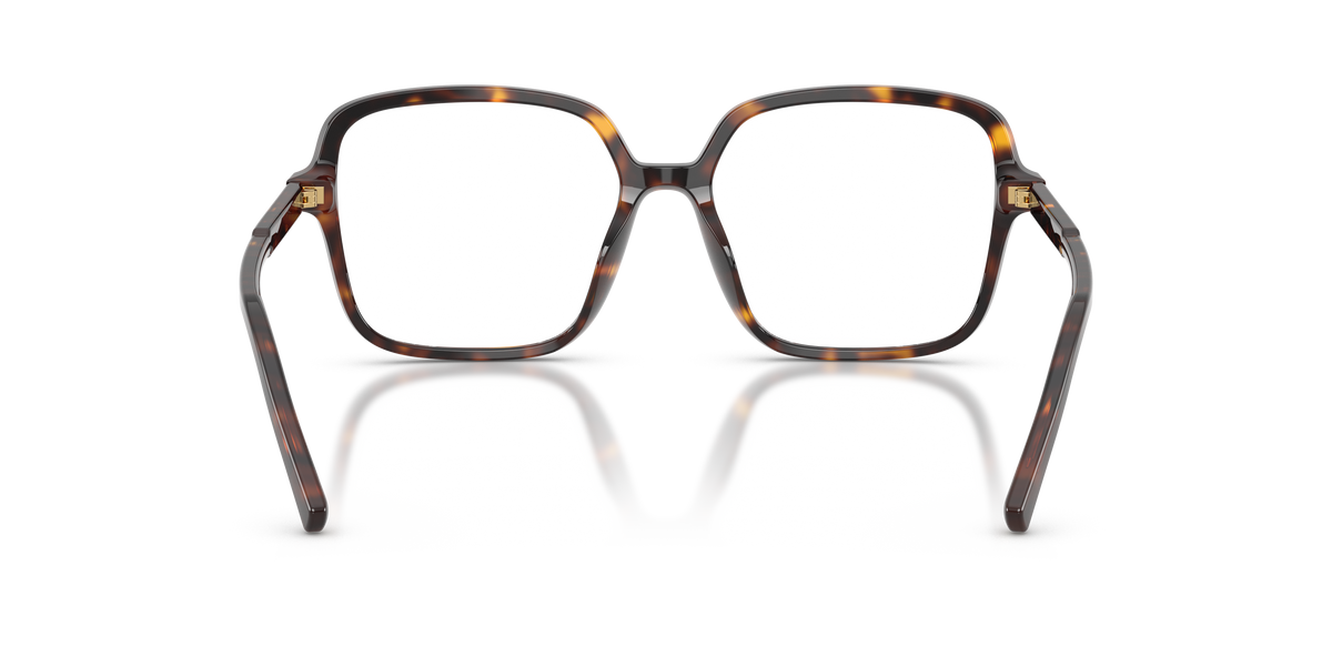 Dolce & Gabbana DG3442 502
