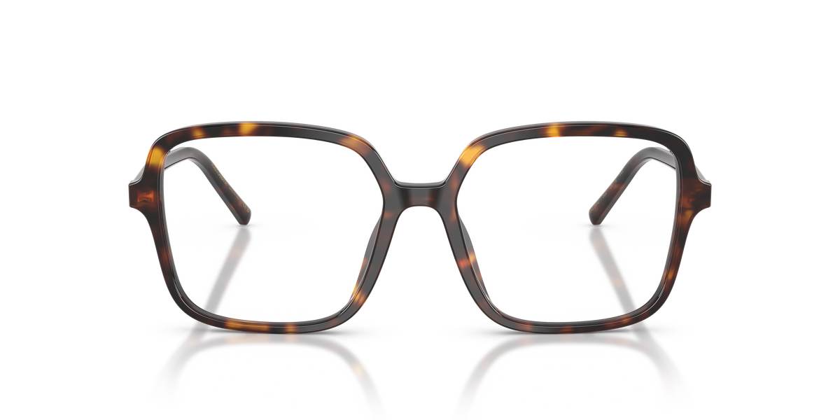 Dolce & Gabbana DG3442 502