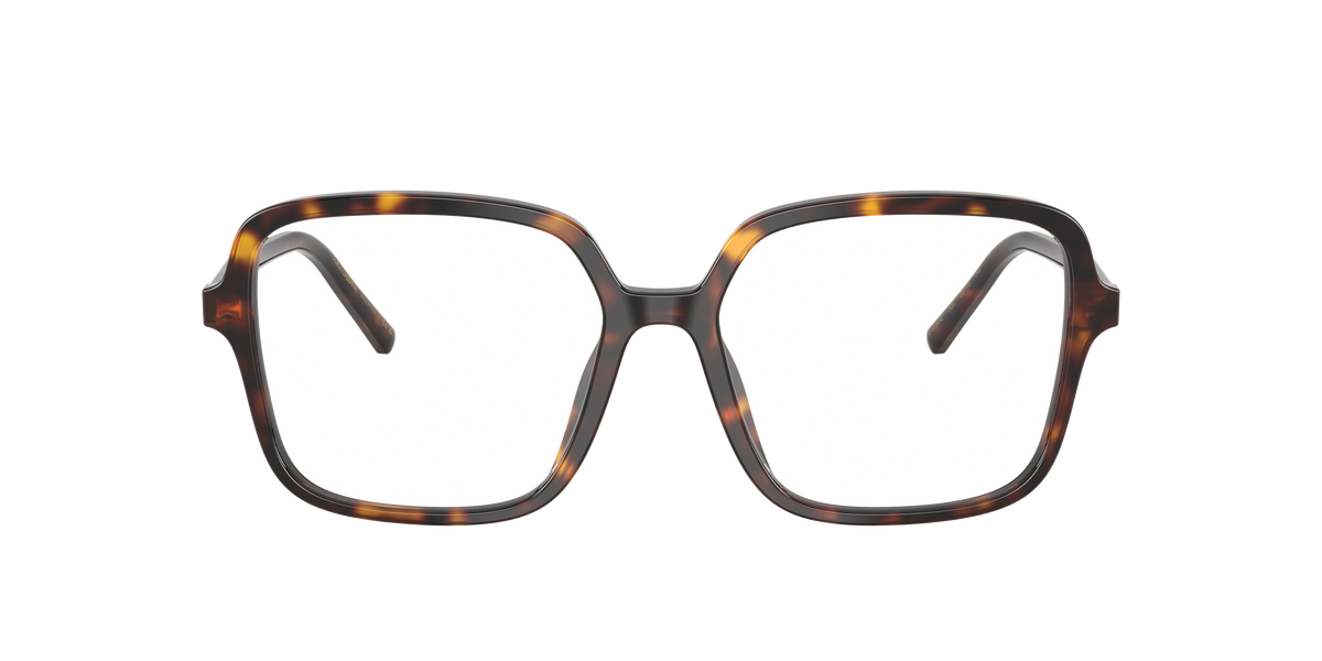 Dolce & Gabbana DG3442 502