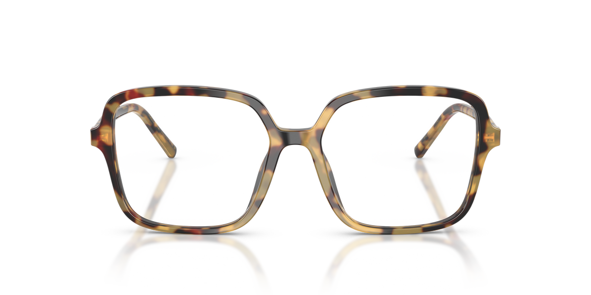 Dolce & Gabbana DG3442 512