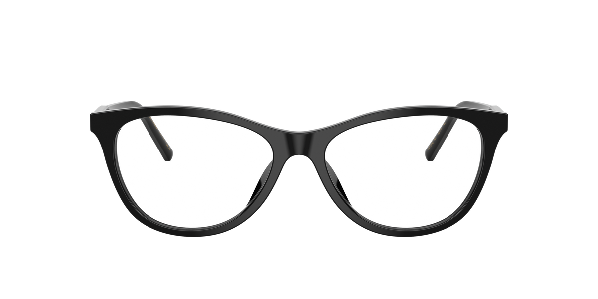 Dolce & Gabbana DG3443 501