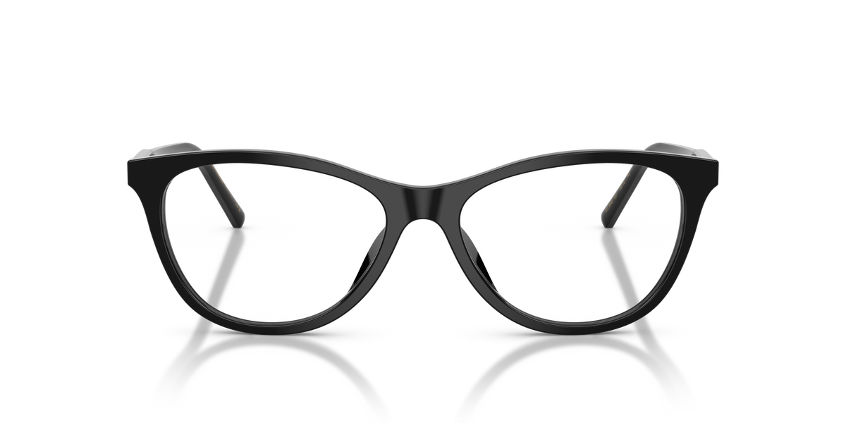 Dolce & Gabbana DG3443 501