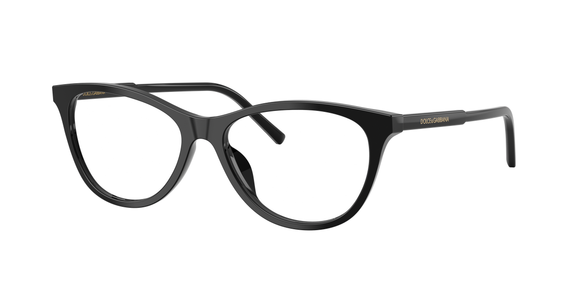 Dolce & Gabbana DG3443 501