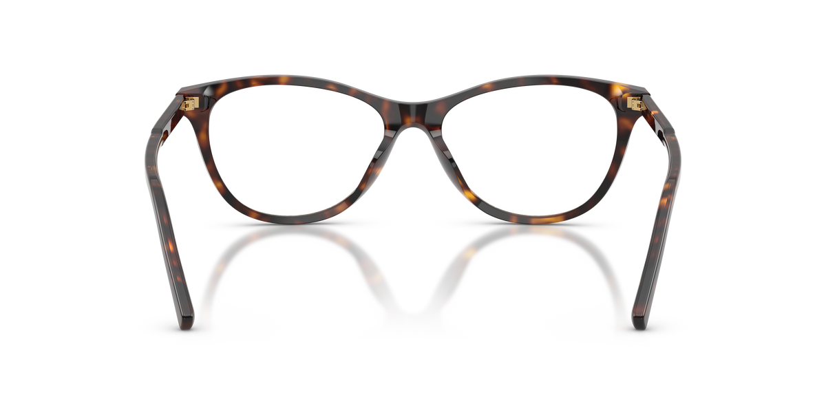Dolce & Gabbana DG3443 502