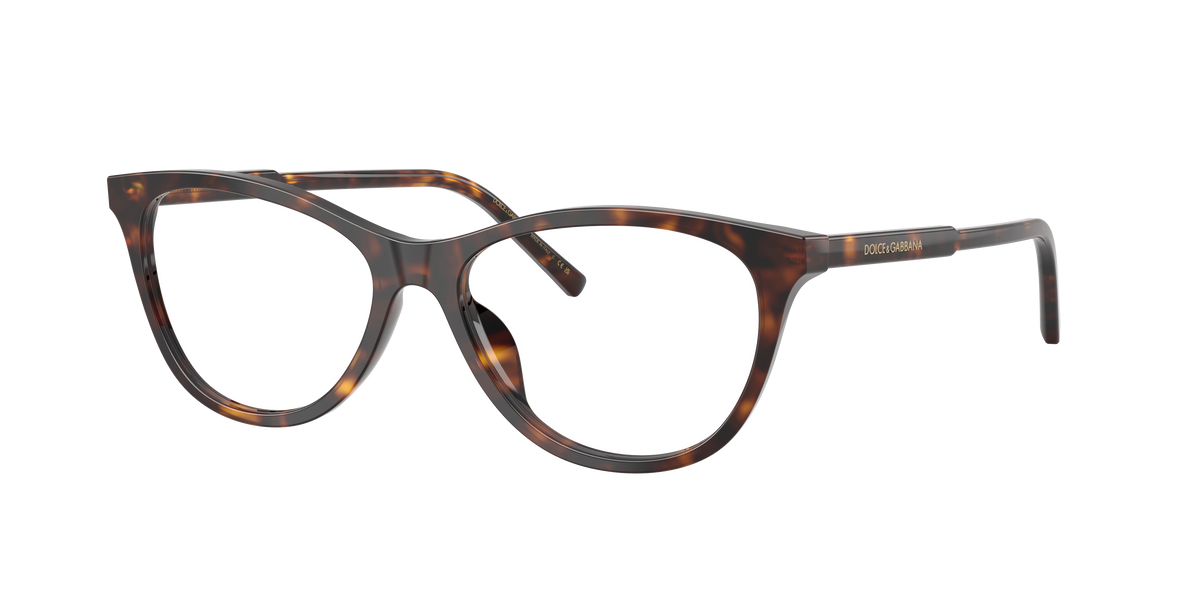 Dolce & Gabbana DG3443 502