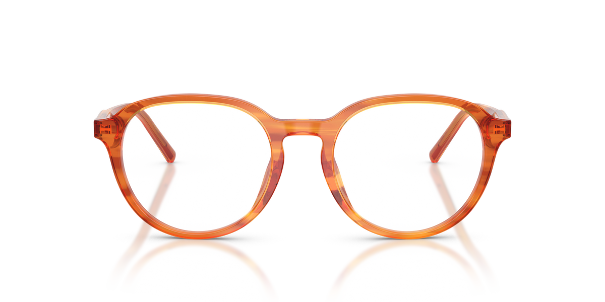 Dolce & Gabbana DG3444 3483