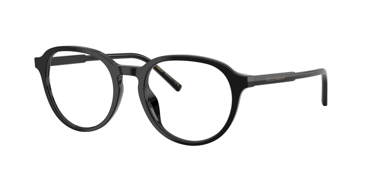Dolce & Gabbana DG3444 501