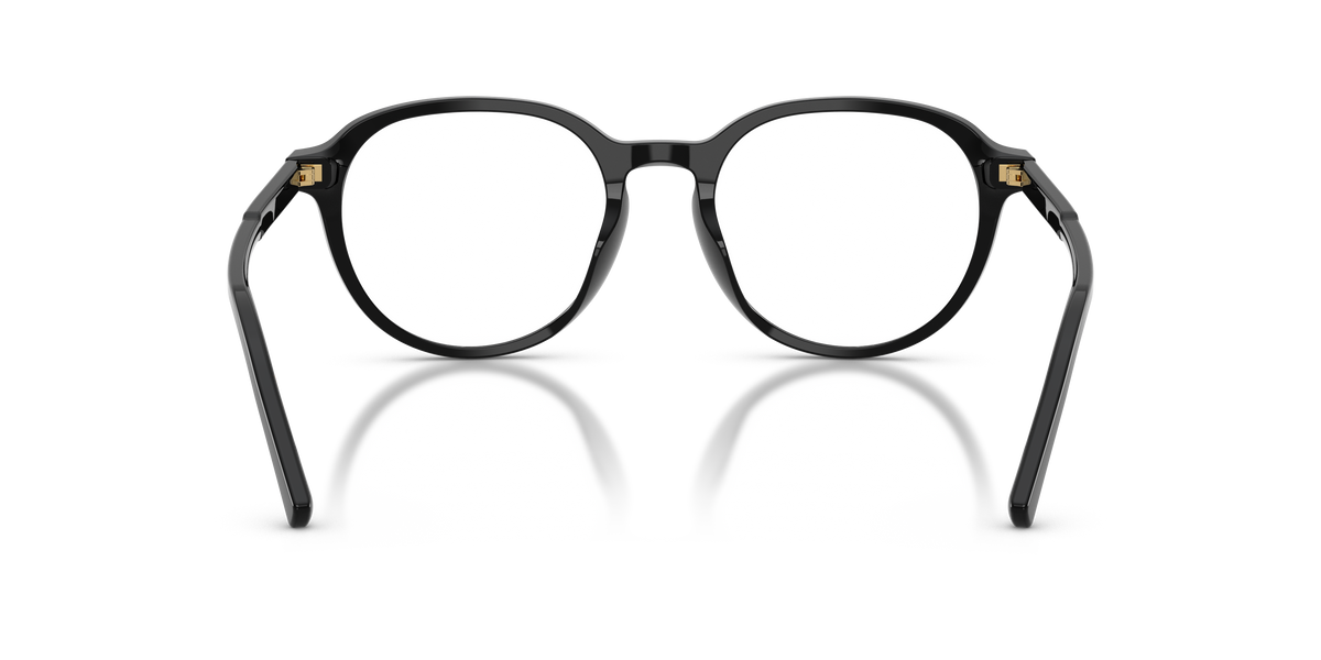 Dolce & Gabbana DG3444 501