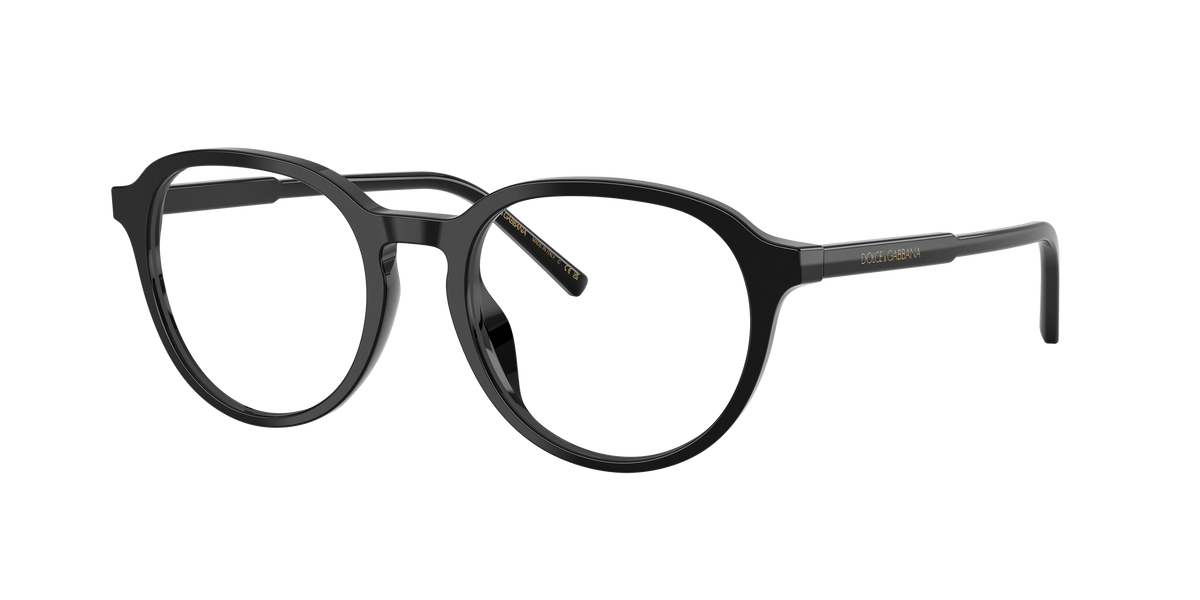 Dolce & Gabbana DG3444 501