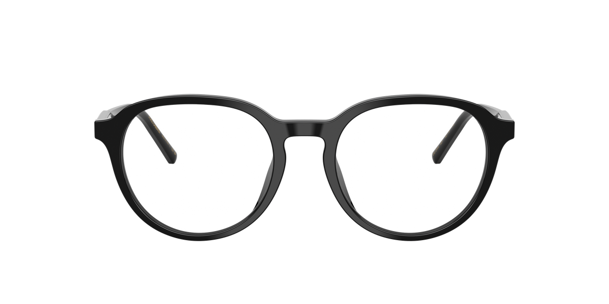 Dolce & Gabbana DG3444 501
