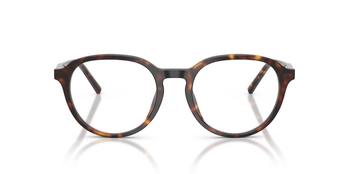 Dolce & Gabbana DG3444 502