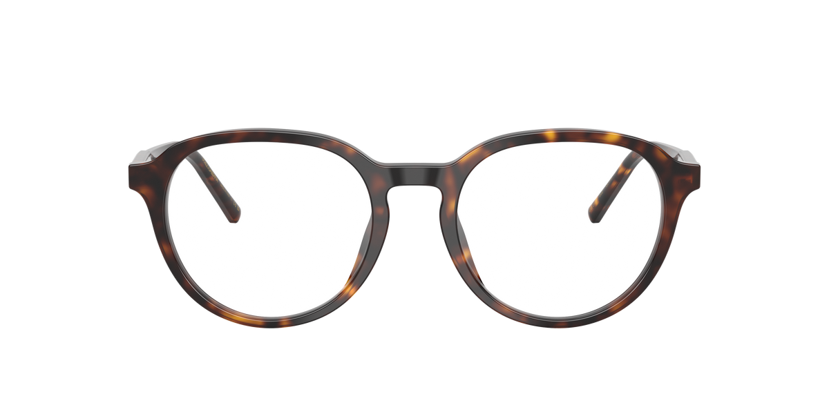 Dolce & Gabbana DG3444 502