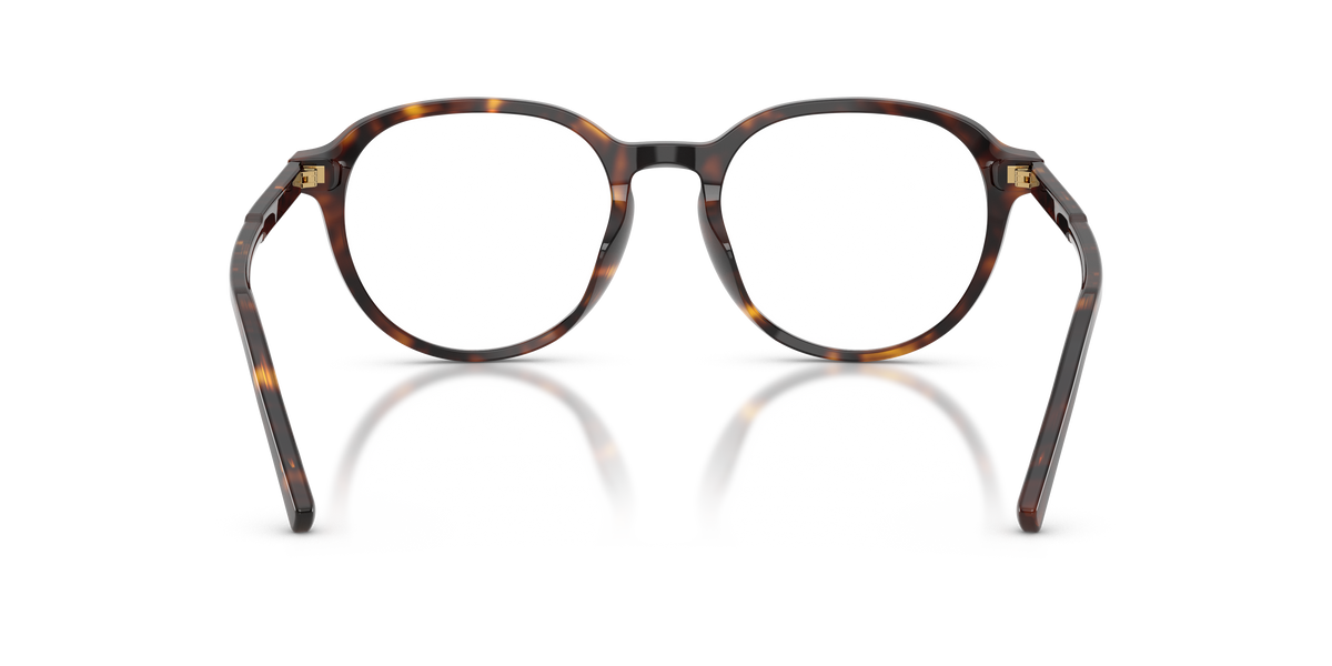 Dolce & Gabbana DG3444 502