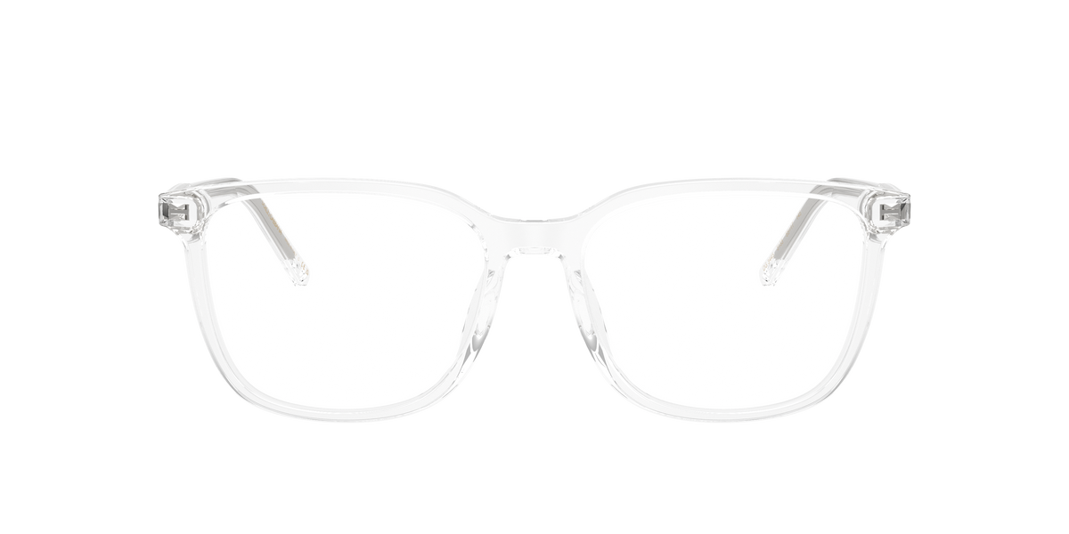 Dolce & Gabbana DG3445 3133