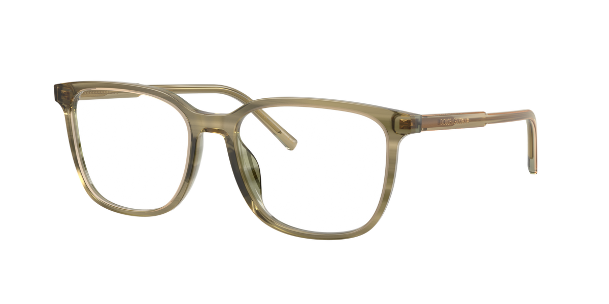 Dolce & Gabbana DG3445 3480