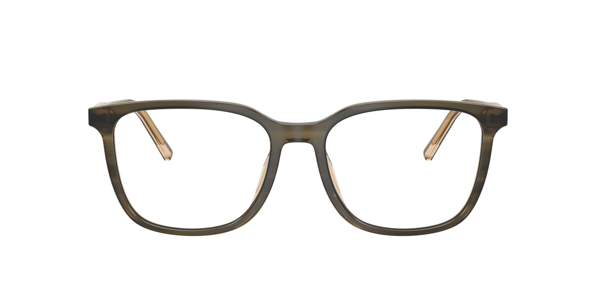 Dolce & Gabbana DG3445 3480