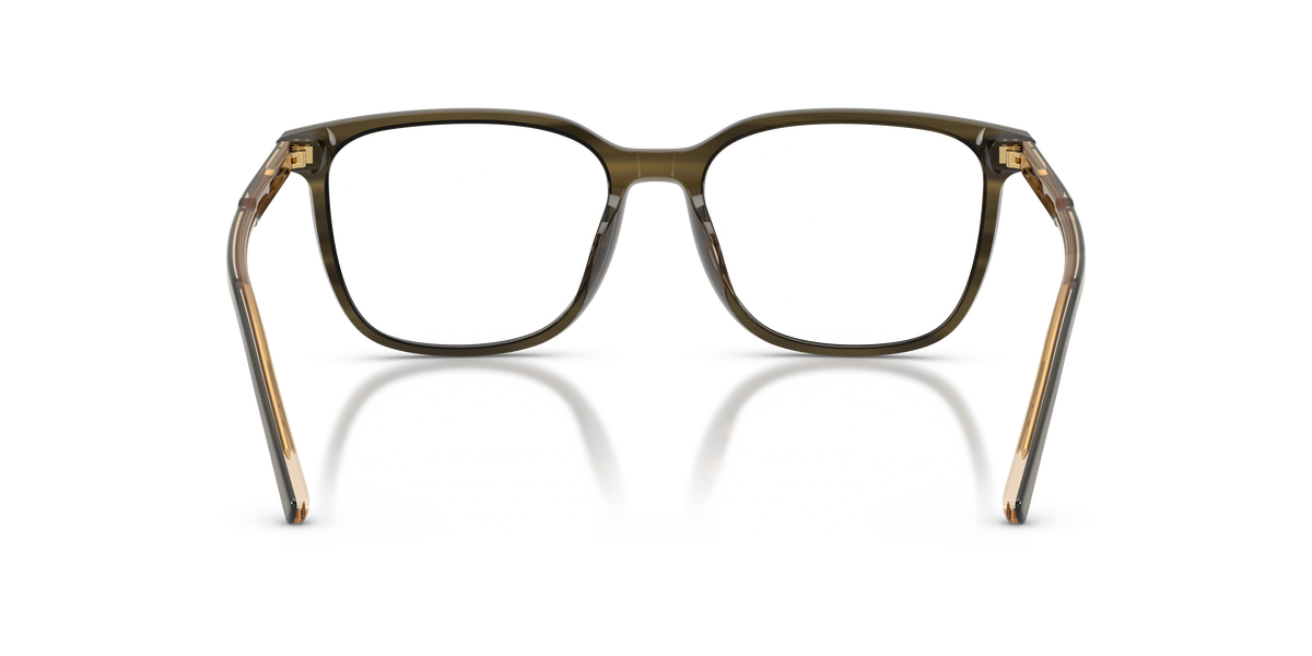 Dolce & Gabbana DG3445 3480