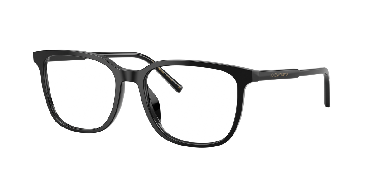 Dolce & Gabbana DG3445 501