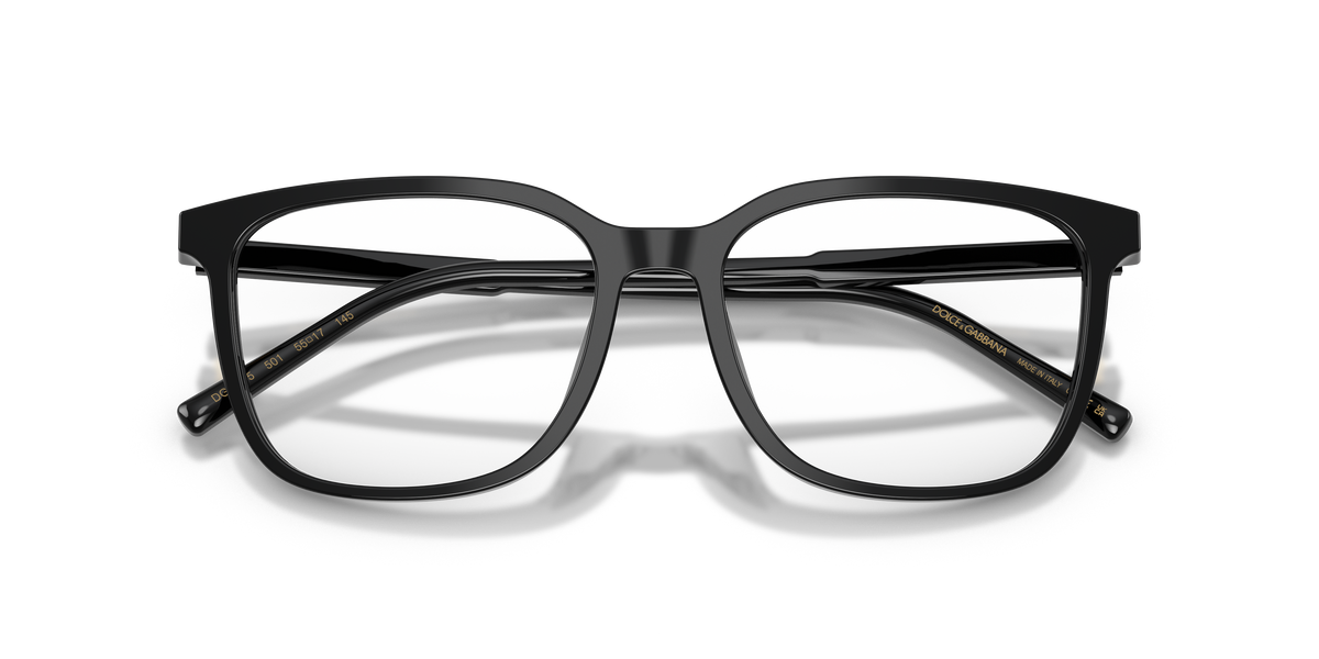 Dolce & Gabbana DG3445 501