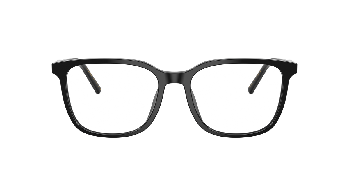 Dolce & Gabbana DG3445 501