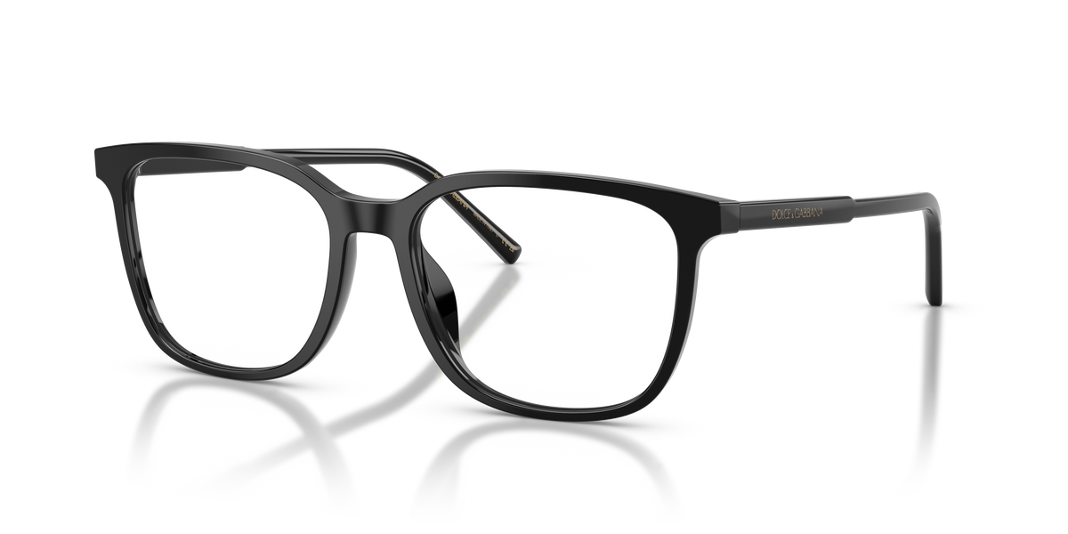 Dolce & Gabbana DG3445 501
