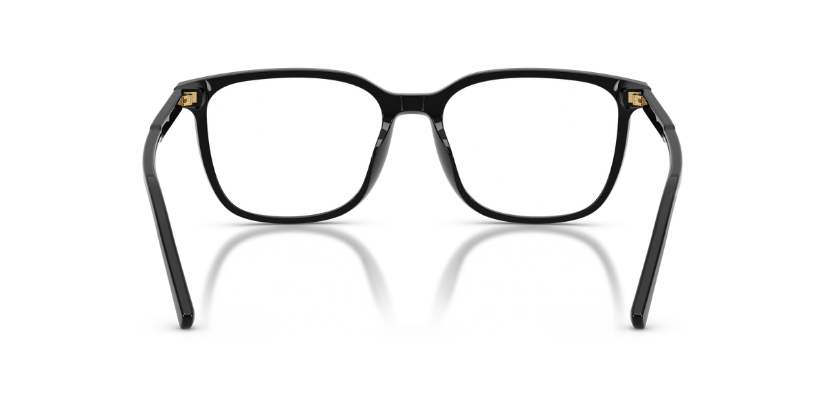 Dolce & Gabbana DG3445 501