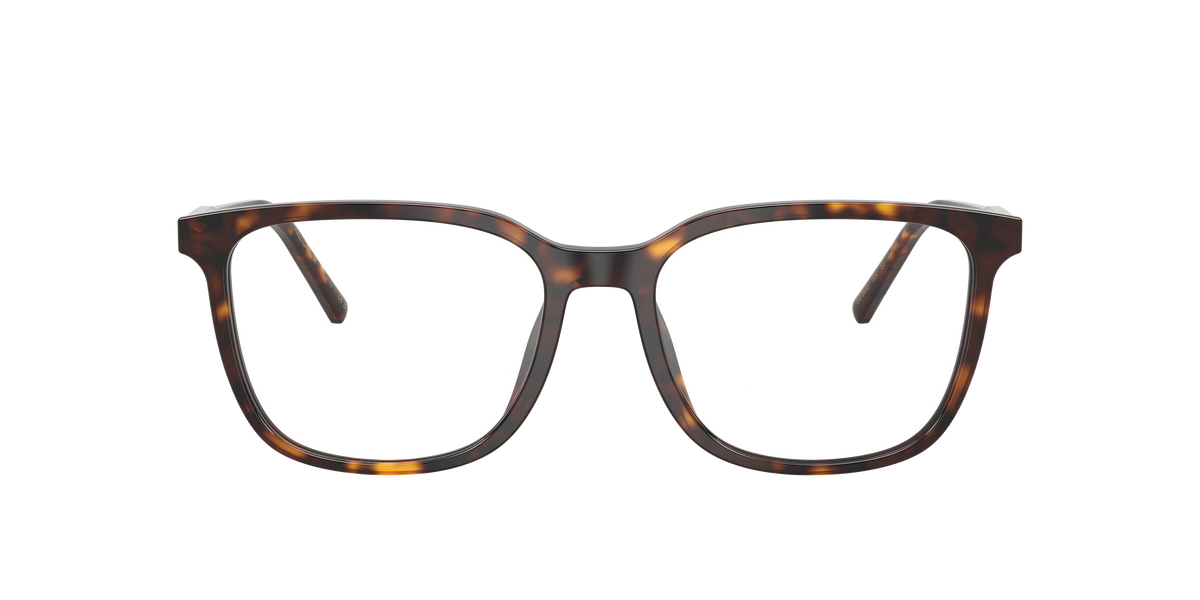 Dolce & Gabbana DG3445 502