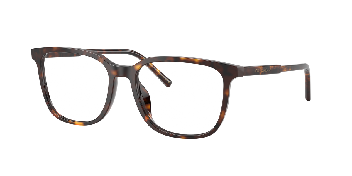 Dolce & Gabbana DG3445 502