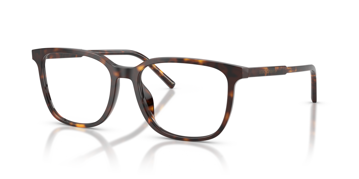 Dolce & Gabbana DG3445 502