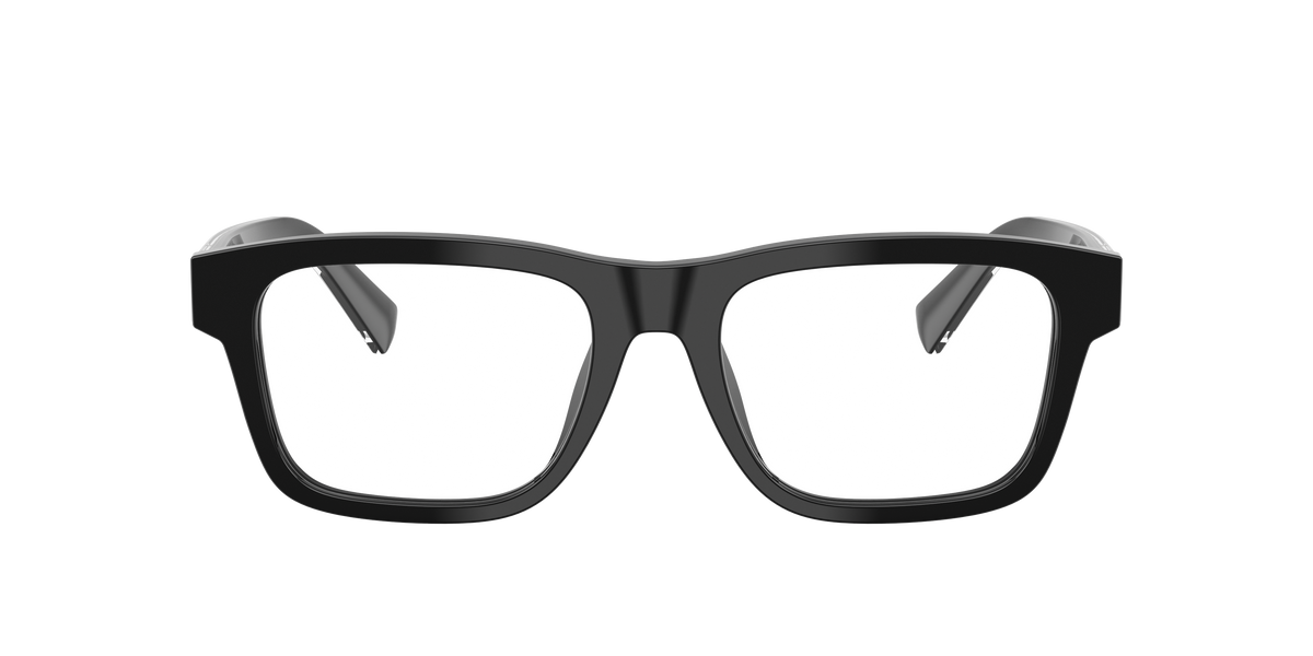 Dolce & Gabbana DG3446 501