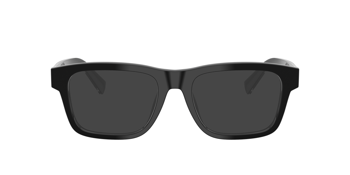 Dolce & Gabbana DG3446 501