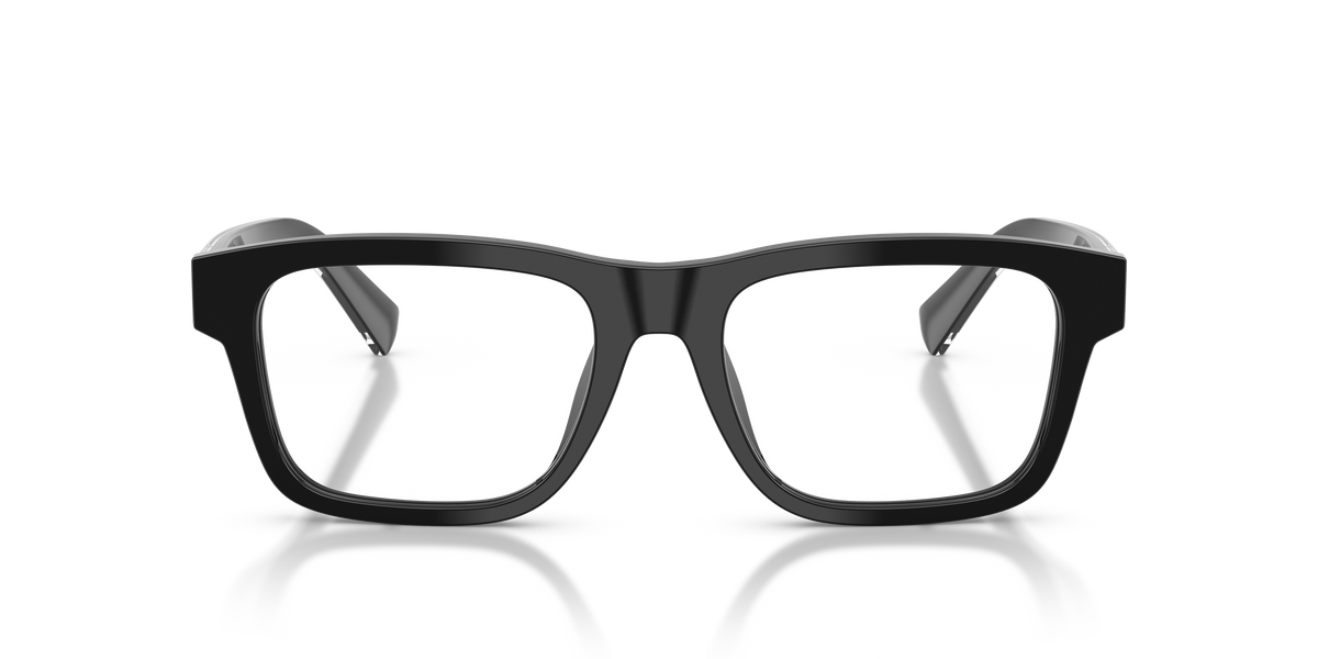 Dolce & Gabbana DG3446 501