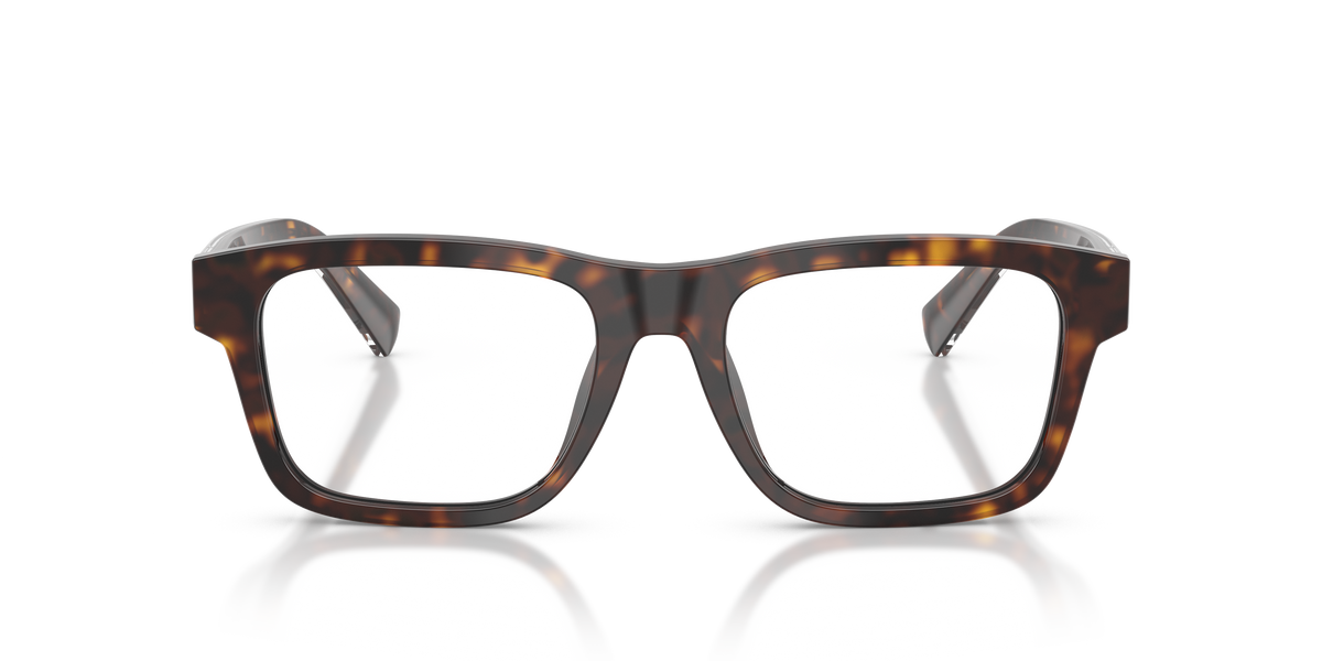 Dolce & Gabbana DG3446 502