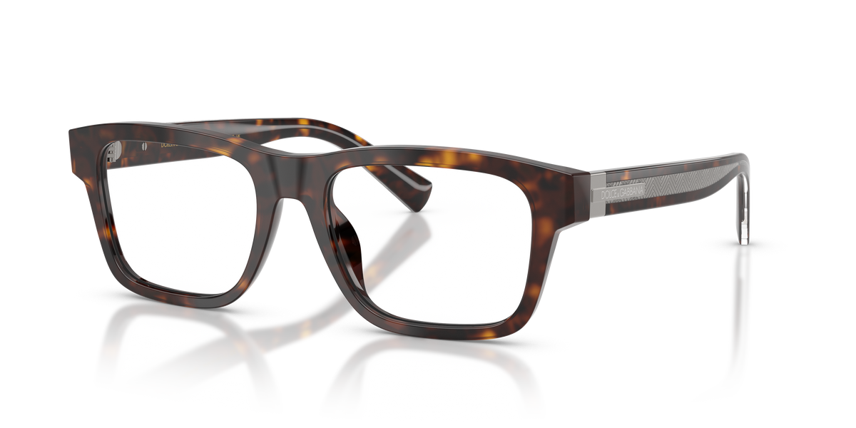 Dolce & Gabbana DG3446 502