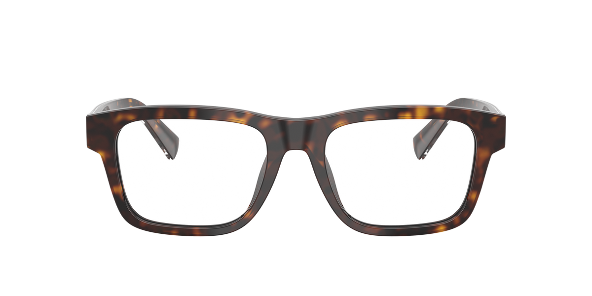 Dolce & Gabbana DG3446 502
